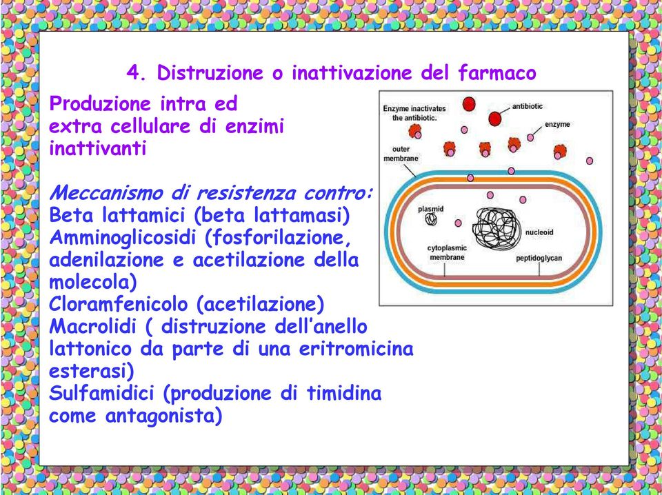 adenilazione e acetilazione della molecola) Cloramfenicolo (acetilazione) Macrolidi ( distruzione dell