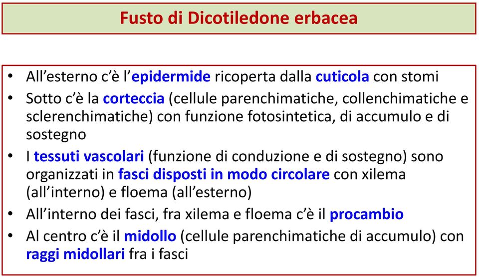 (funzione di conduzione e di sostegno) sono organizzati in fasci disposti in modo circolare con xilema (all interno) e floema (all