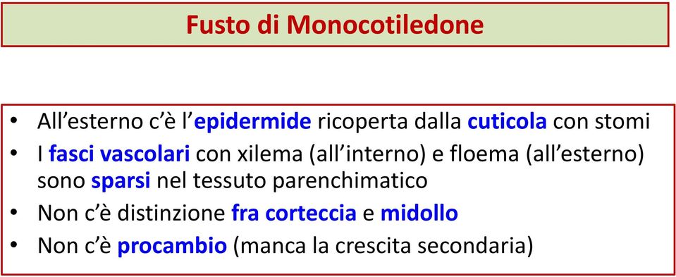 (all esterno) sono sparsi nel tessuto parenchimatico Non c è