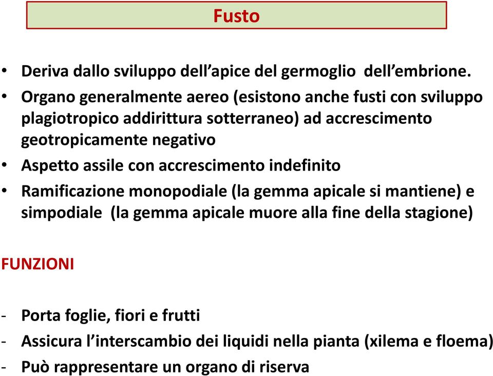 geotropicamente negativo Aspetto assile con accrescimento indefinito Ramificazione monopodiale (la gemma apicale si mantiene) e