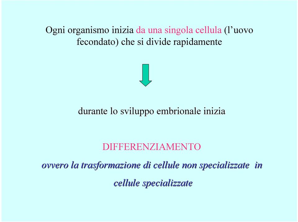 sviluppo embrionale inizia DIFFERENZIAMENTO ovvero la