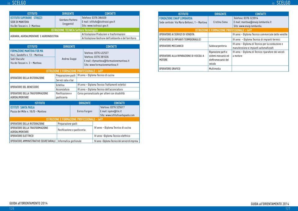 it AGRARIA, E AGROINDUSTRIA ISTRUZIONE TECNICA Settore Tecnologico Articolazione Produzioni e trasformazioni Articolazione Gestione dell ambiente e del territorio FORMAZIONE MANTOVA FOR.