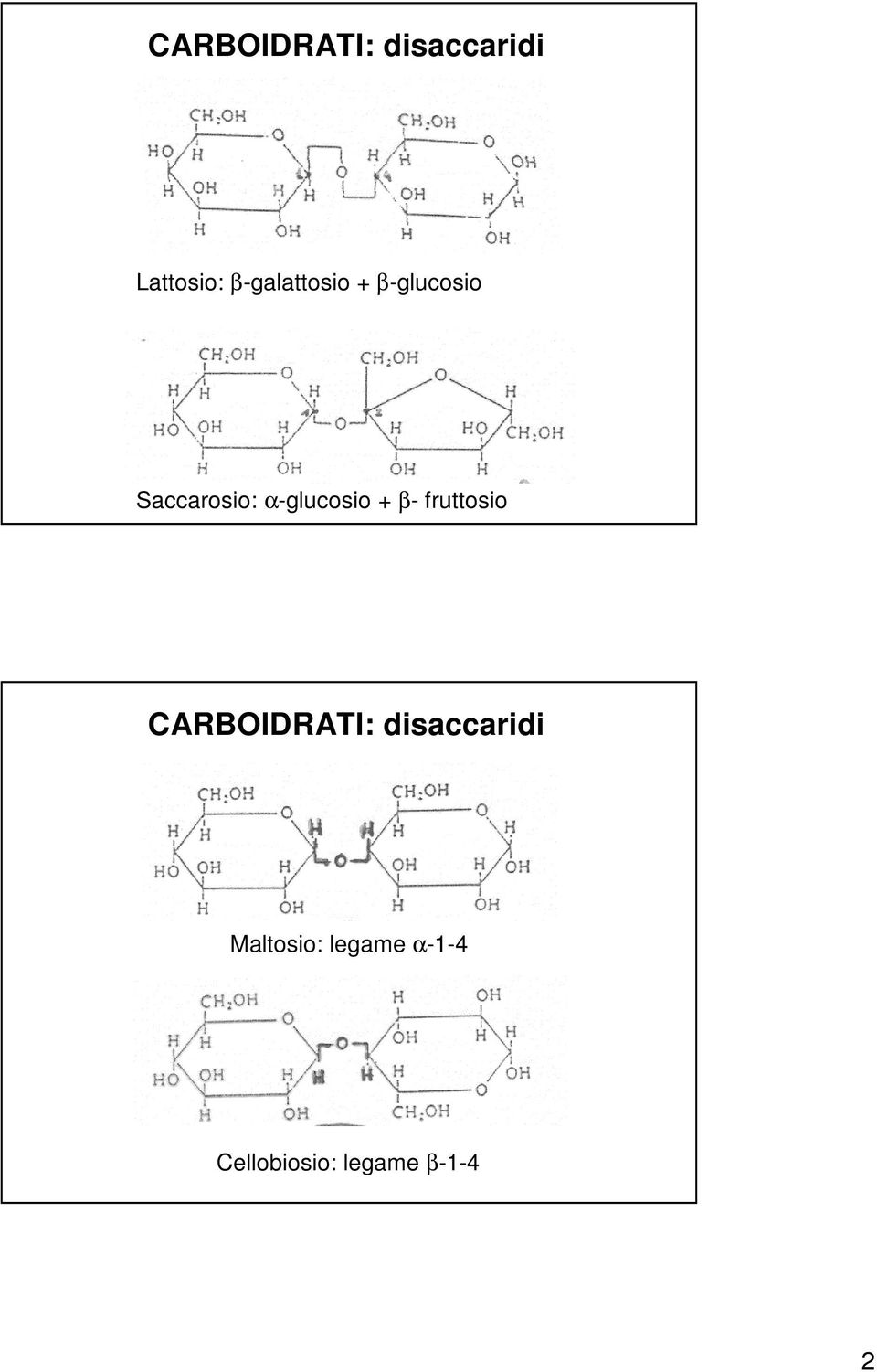 α-glucosio + β- fruttosio CARBOIDRATI: