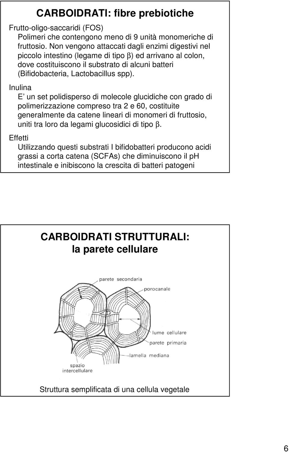 Inulina E un set polidisperso di molecole glucidiche con grado di polimerizzazione compreso tra 2 e 60, costituite generalmente da catene lineari di monomeri di fruttosio, uniti tra loro da legami