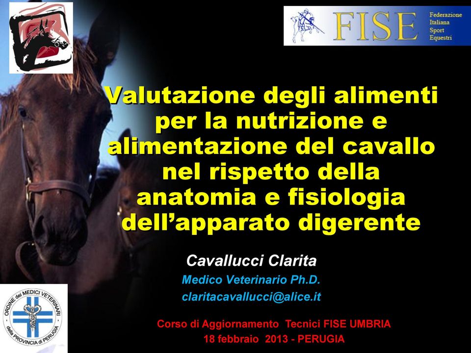 digerente Cavallucci Clarita Medico Veterinario Ph.D.