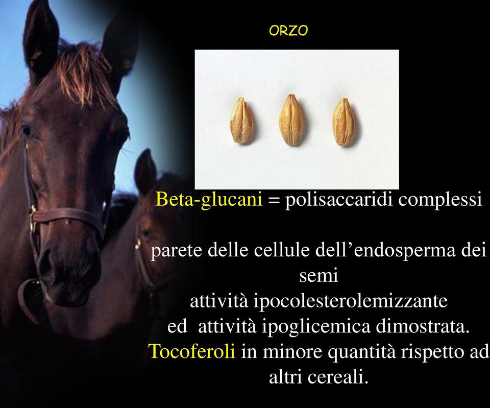 ipocolesterolemizzante ed attività ipoglicemica