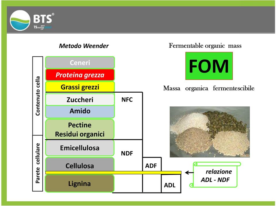 organica fermentescibile Pectine Residui organici Parete