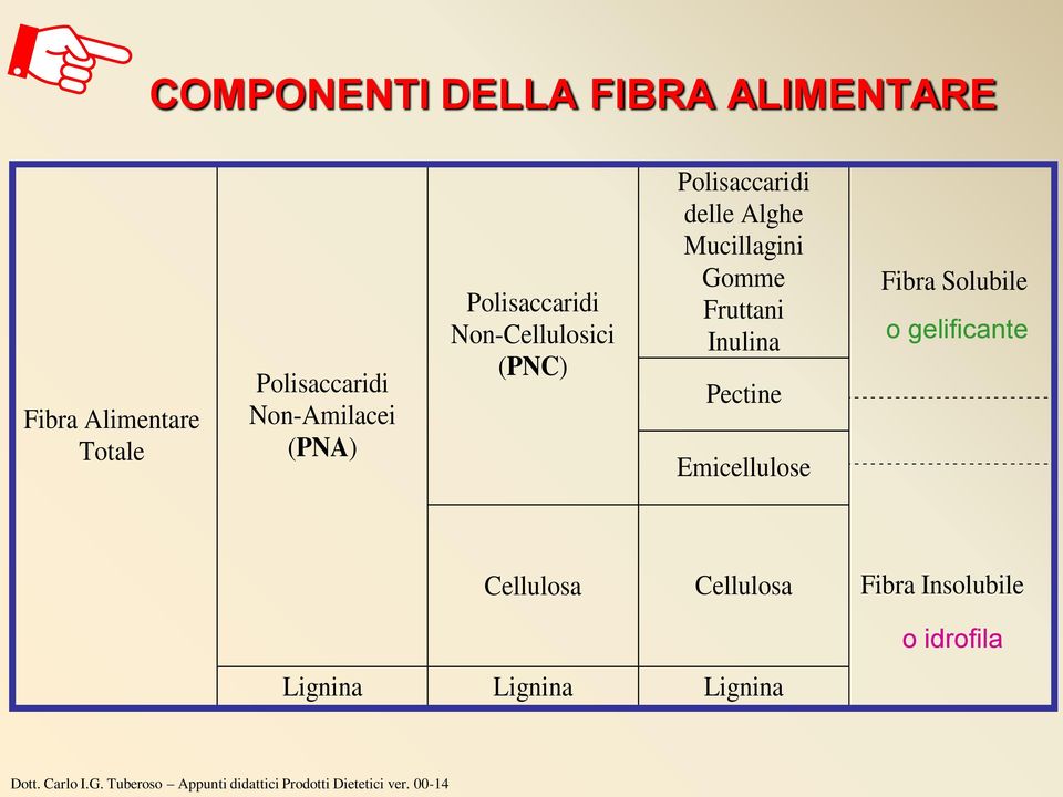 Alghe Mucillagini Gomme Fruttani Inulina Pectine Emicellulose Fibra Solubile