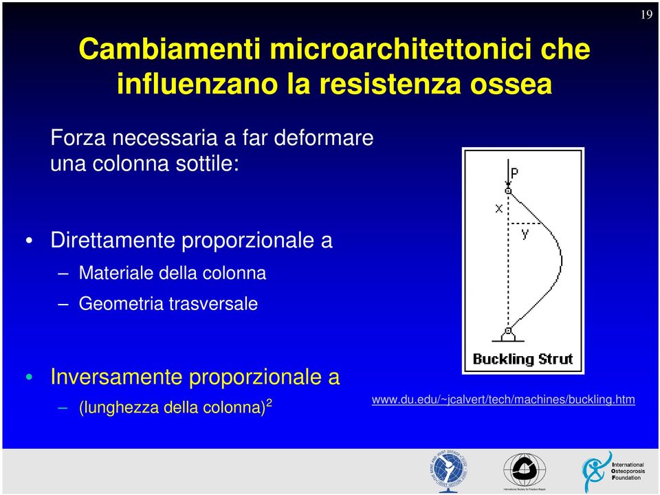 proporzionale a Materiale della colonna Geometria trasversale Inversamente