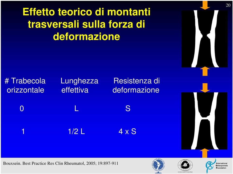 orizzontale effettiva deformazione 0 L S 1 1/2 L 4 x S