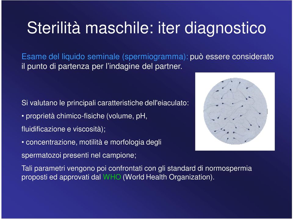 Si valutano le principali caratteristiche dell'eiaculato: proprietà chimico-fisiche (volume, ph, fluidificazione e