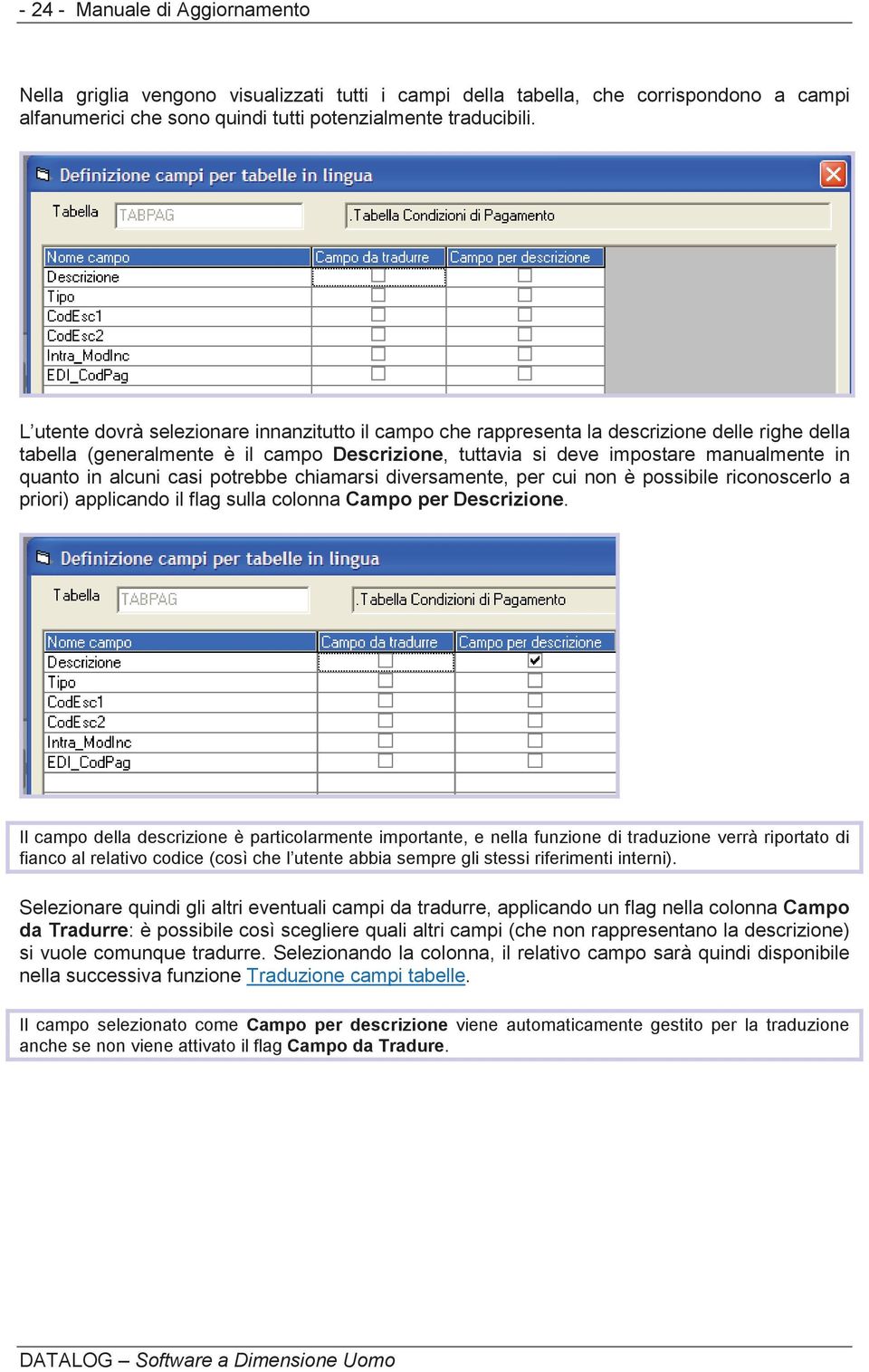 alcuni casi potrebbe chiamarsi diversamente, per cui non è possibile riconoscerlo a priori) applicando il flag sulla colonna Campo per Descrizione.