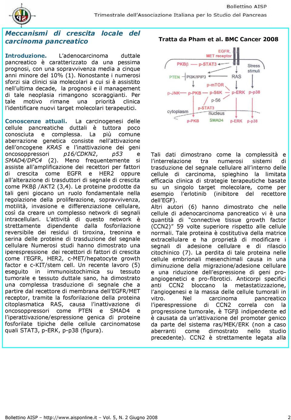 Nonostante i numerosi sforzi sia clinici sia molecolari a cui si è assistito nell ultima decade, la prognosi e il management di tale neoplasia rimangono scoraggianti.