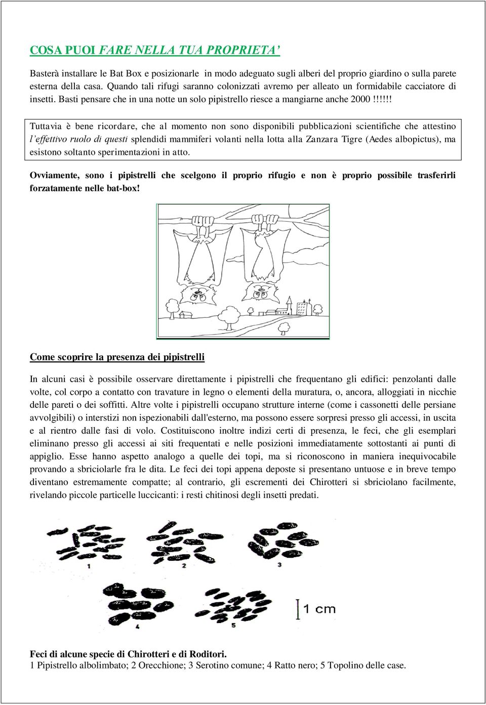 !!!!! Tuttavia è bene ricordare, che al momento non sono disponibili pubblicazioni scientifiche che attestino l effettivo ruolo di questi splendidi mammiferi volanti nella lotta alla Zanzara Tigre