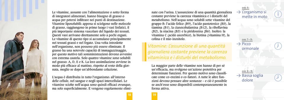 Questi vasi arrivano direttamente solo a pochi organi. Le vitamine di questo tipo si accumulano principalmente nei tessuti grassi e nel fegato.