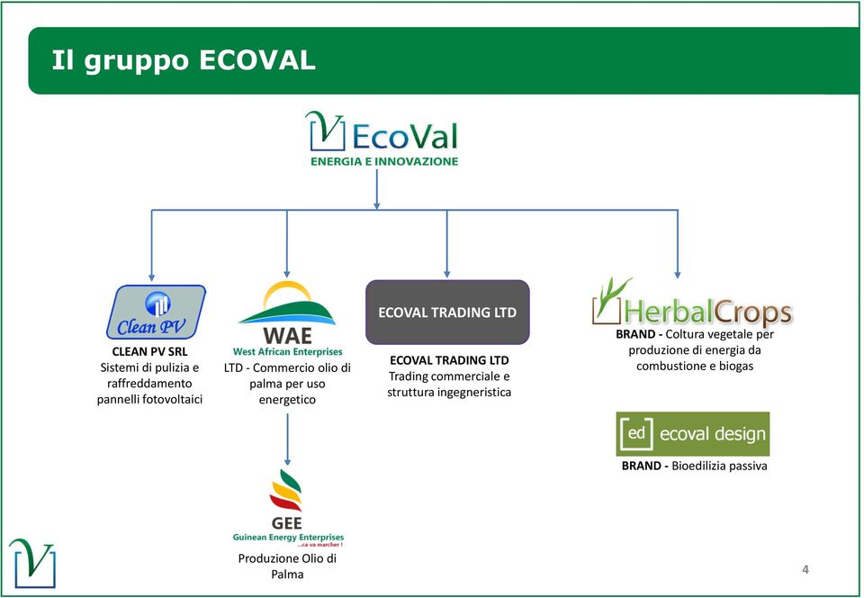 LTD Trading commerciale e struttura ingegneristica BRAND - Coltura vegetale per