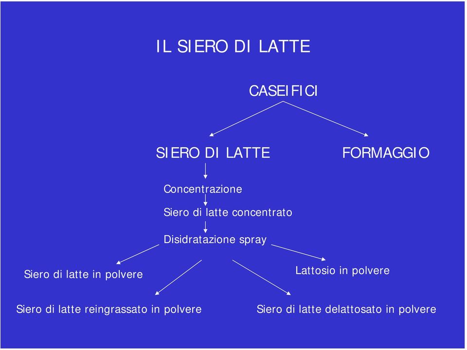 spray Siero di latte in polvere Lattosio in polvere Siero