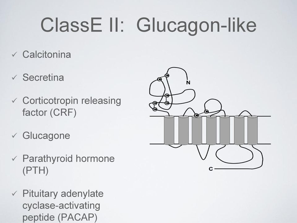 Calcitonina Secretina Corticotropin