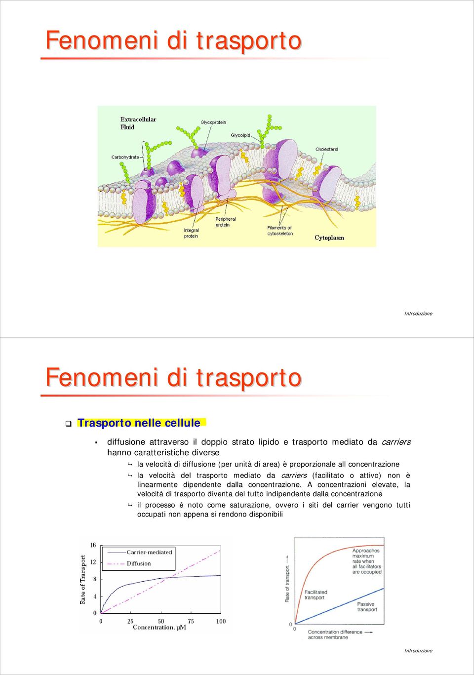 attivo) non è linearmente dipendente dalla concentrazione.