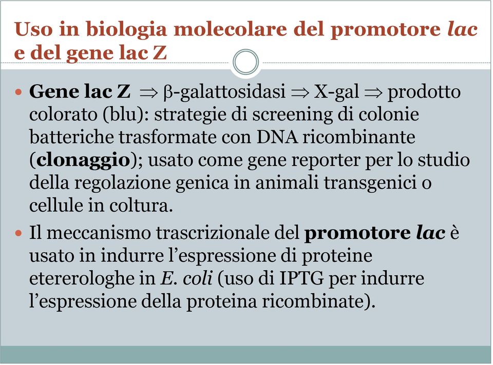 studio della regolazione genica in animali transgenici o cellule in coltura.