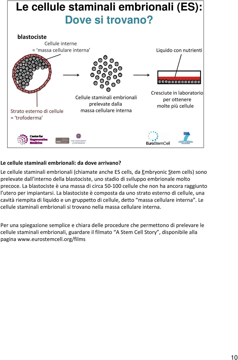 laboratorio per ottenere molte più cellule Le cellule staminali embrionali: da dove arrivano?