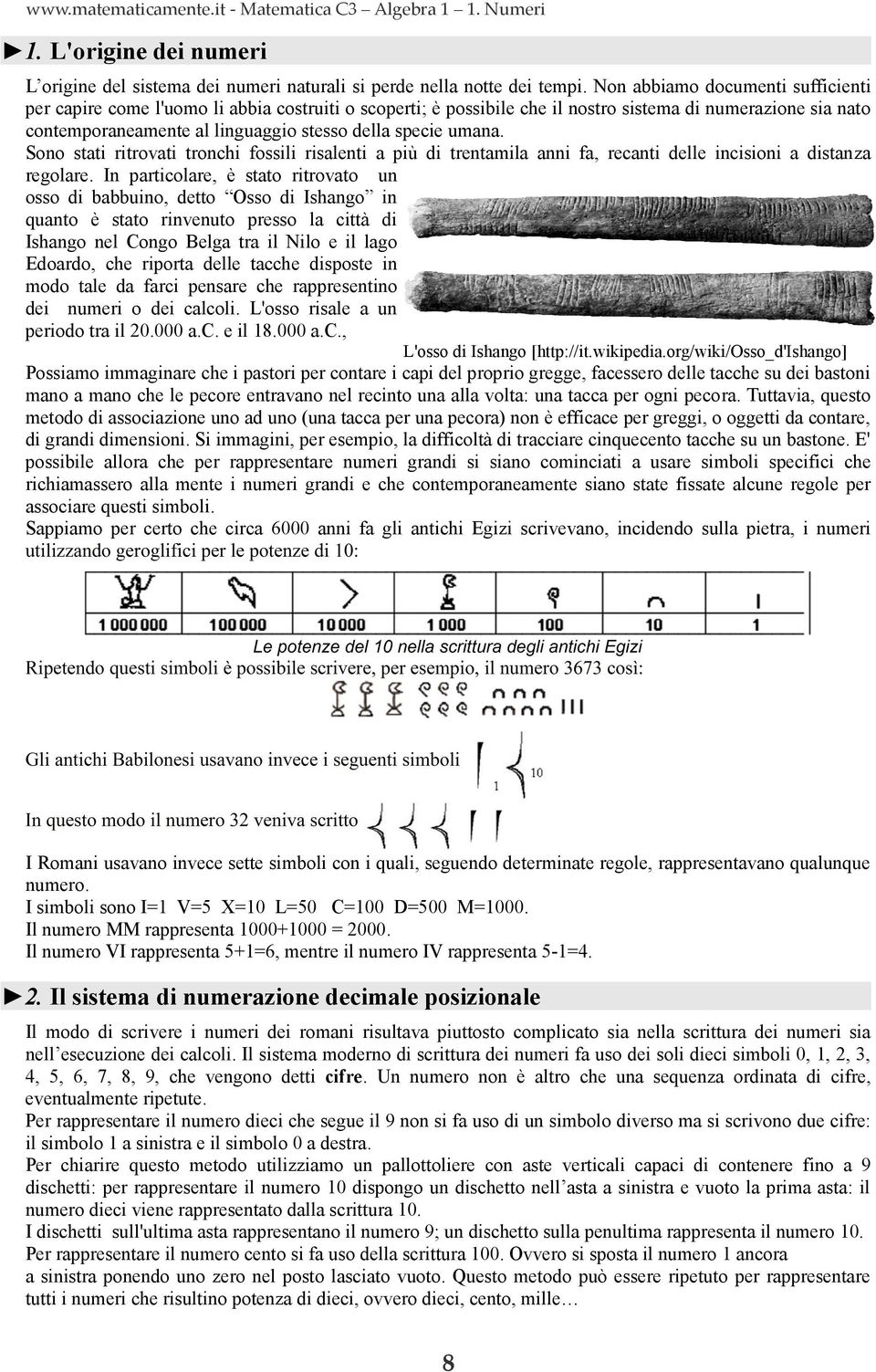 umana. Sono stati ritrovati tronchi fossili risalenti a più di trentamila anni fa, recanti delle incisioni a distanza regolare.