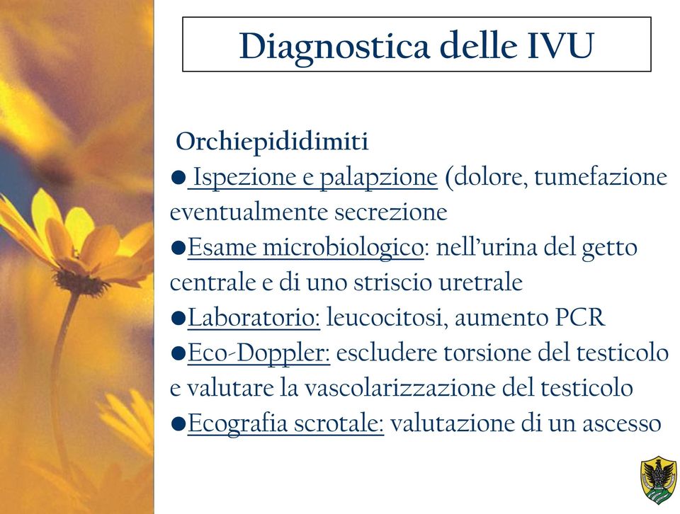 striscio uretrale Laboratorio: leucocitosi, aumento PCR Eco-Doppler: escludere torsione