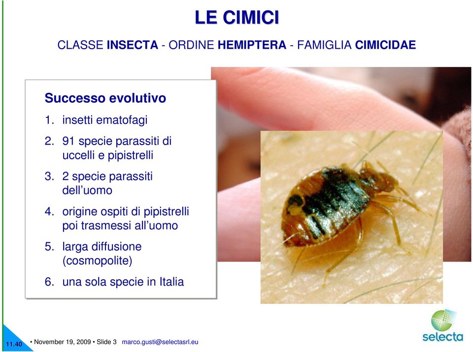 2 specie parassiti dell uomo 4. origine ospiti di pipistrelli poi trasmessi all uomo 5.