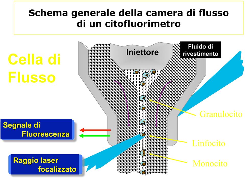 di Flusso Iniettore Fluido di