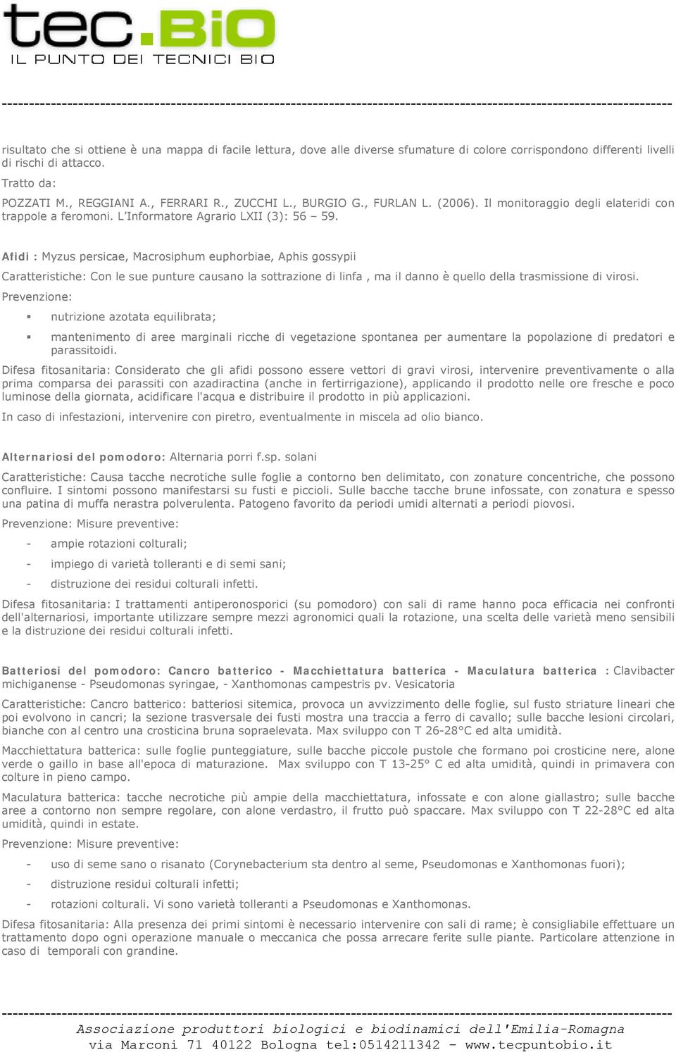 Afidi : Myzus persicae, Macrosiphum euphorbiae, Aphis gossypii Caratteristiche: Con le sue punture causano la sottrazione di linfa, ma il danno è quello della trasmissione di virosi.