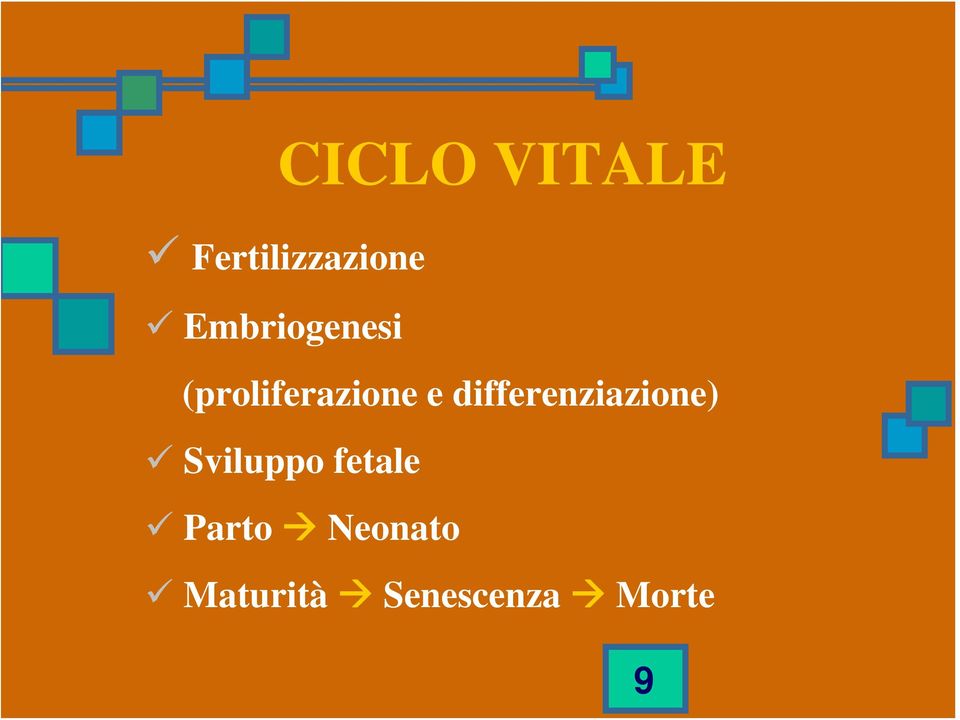 differenziazione) Sviluppo fetale