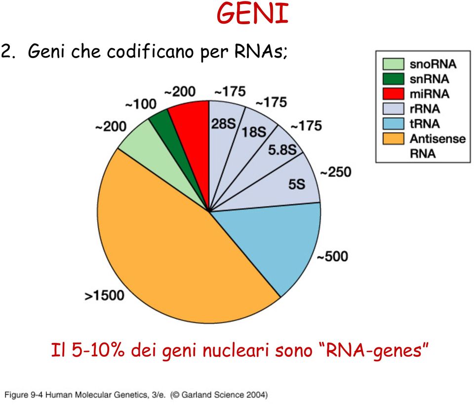 per RNAs; Il 5-10%