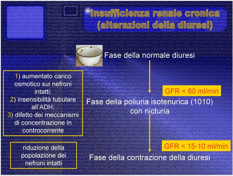 controcorrente riduzione della popolazione dei nefroni intatti GFR < 60 ml/min Fase