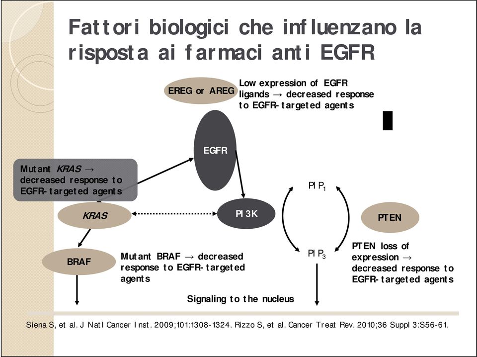 BRAF decreased response to EGFR-targeted agents PIP 3 PTEN loss of expression decreased response to EGFR-targeted agents