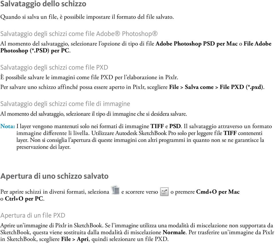 Salvataggio degli schizzi come file PXD È possibile salvare le immagini come file PXD per l elaborazione in Pixlr.