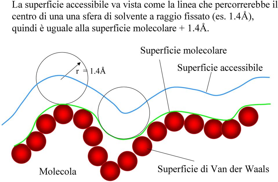 4Å), quindi è uguale alla superficie molecolare + 1.4Å. r = 1.