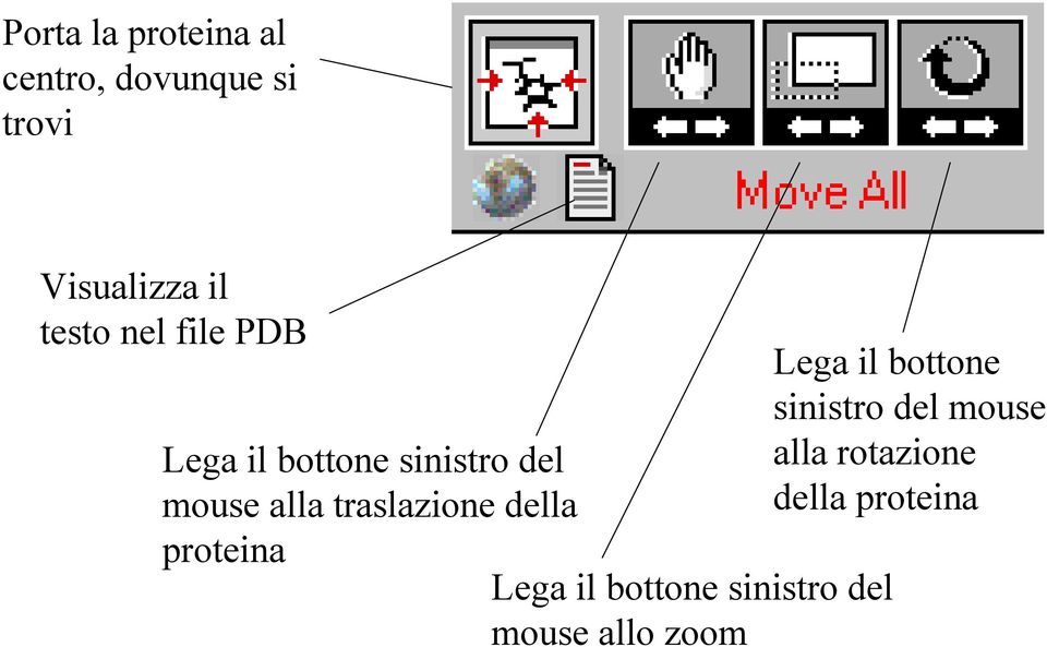 traslazione della proteina Lega il bottone sinistro del mouse