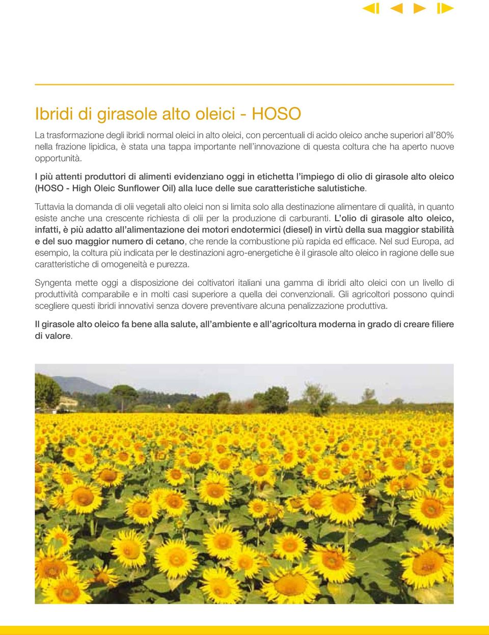 I più attenti produttori di alimenti evidenziano oggi in etichetta l impiego di olio di girasole alto oleico (HOSO - High Oleic Sunflower Oil) alla luce delle sue caratteristiche salutistiche.