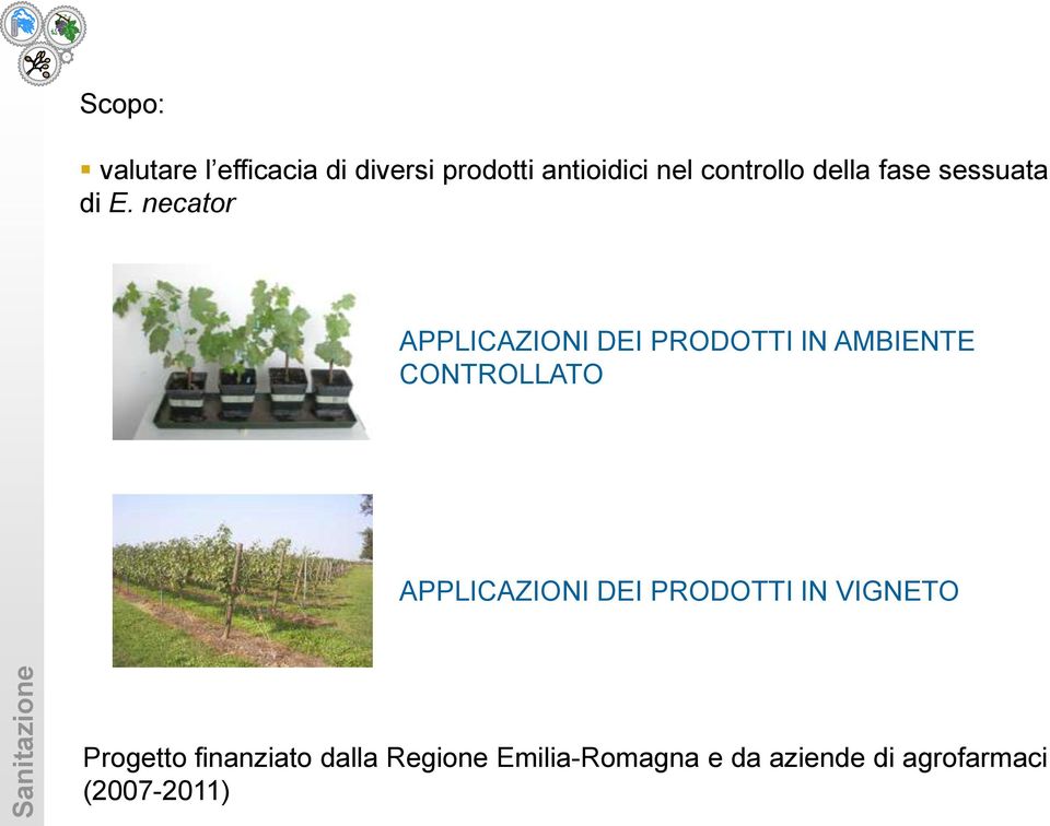 necator APPLICAZIONI DEI PRODOTTI IN AMBIENTE CONTROLLATO APPLICAZIONI