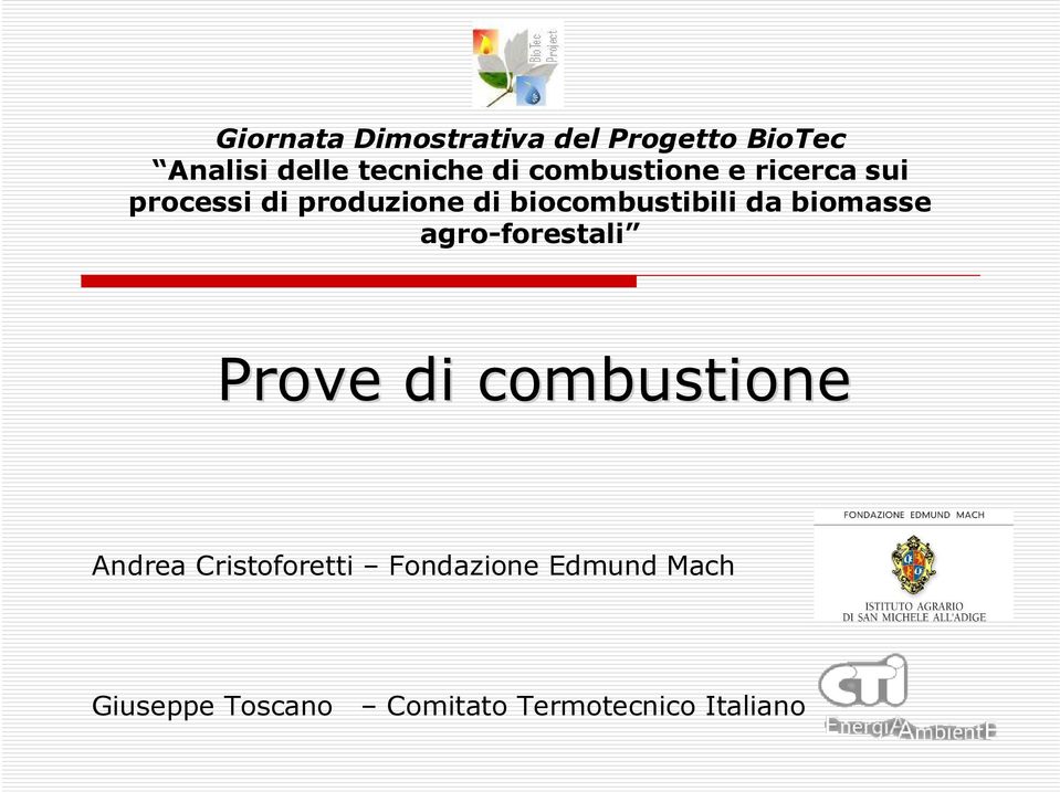da biomasse agro-forestali Prove di combustione Andrea Cristoforetti