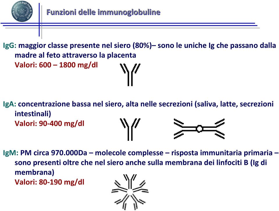 (saliva, latte, secrezioni intestinali) Valori: 90-400 mg/dl IgM: PM circa 970.