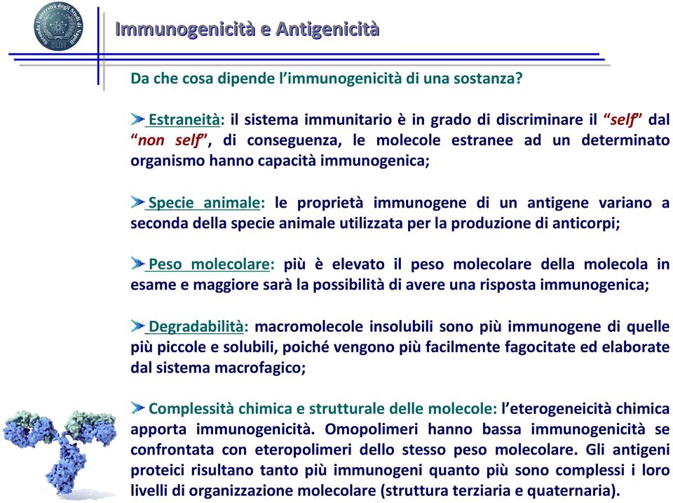 proprietà immunogene di un antigene variano a seconda della specie animale utilizzata per la produzione di anticorpi; Peso molecolare: più è elevato il peso molecolare della molecola in esame e