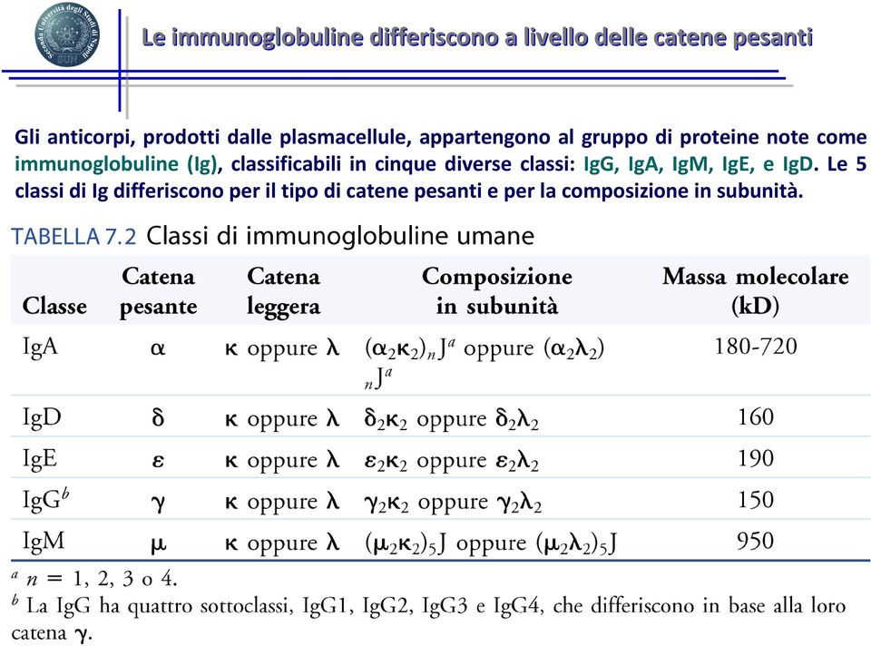 immunoglobuline (Ig), classificabili in cinque diverse classi: IgG, IgA, IgM, IgE, e