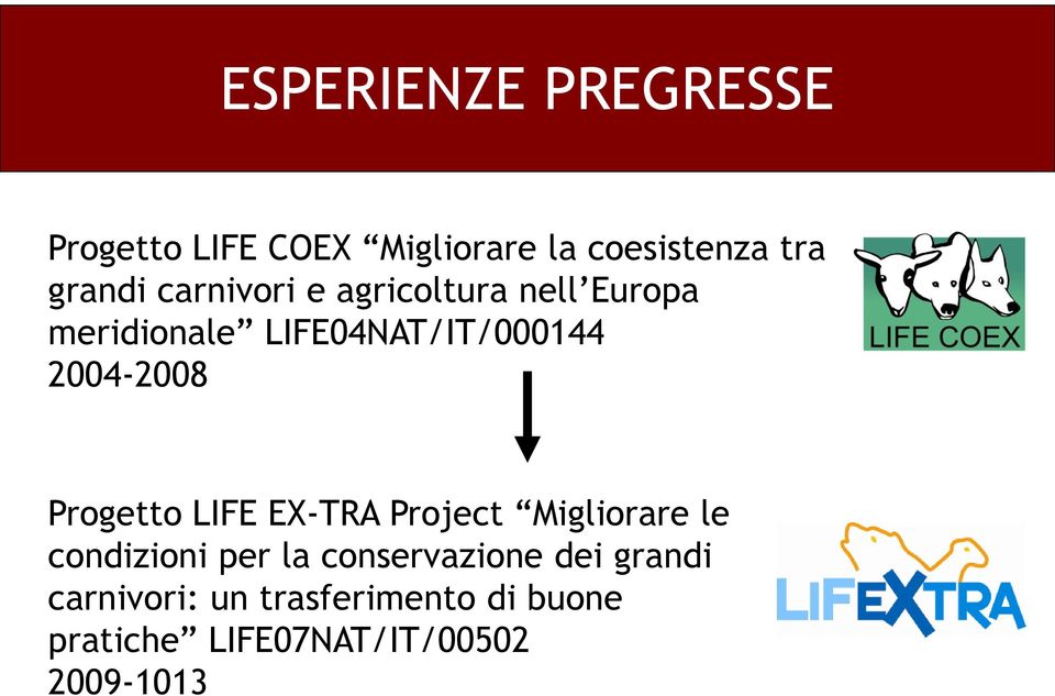 Progetto LIFE EX-TRA Project Migliorare le condizioni per la conservazione dei