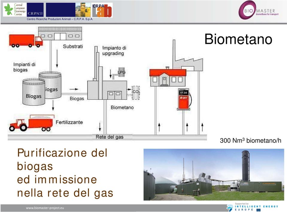 biogas ed immissione