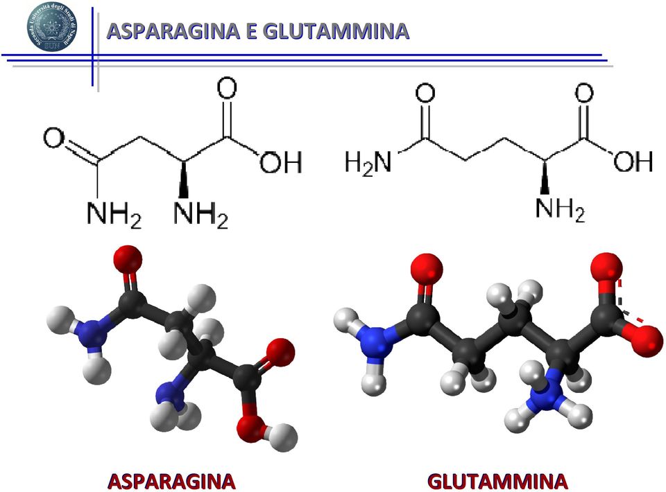 GLUTAMMINA 