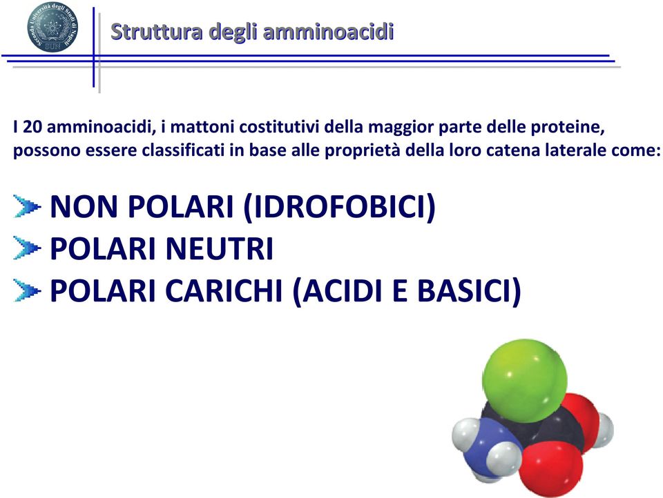 classificati in base alle proprietà della loro catena laterale