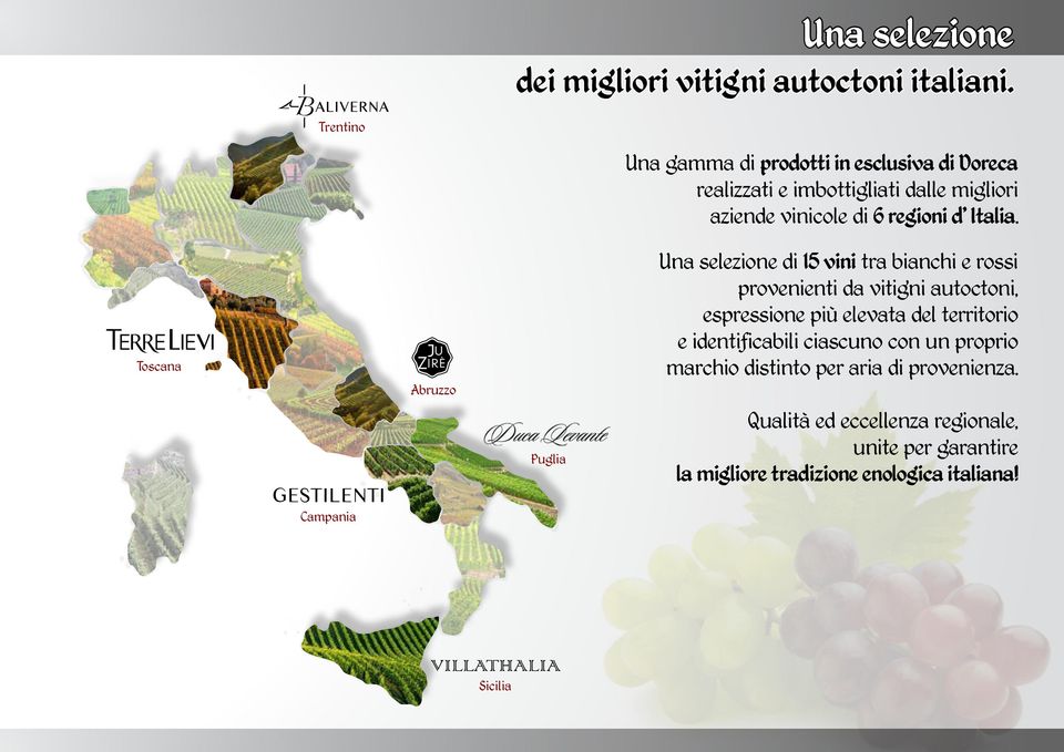 Toscana Abruzzo Puglia Una selezione di 15 vini tra bianchi e rossi provenienti da vitigni autoctoni, espressione più elevata del