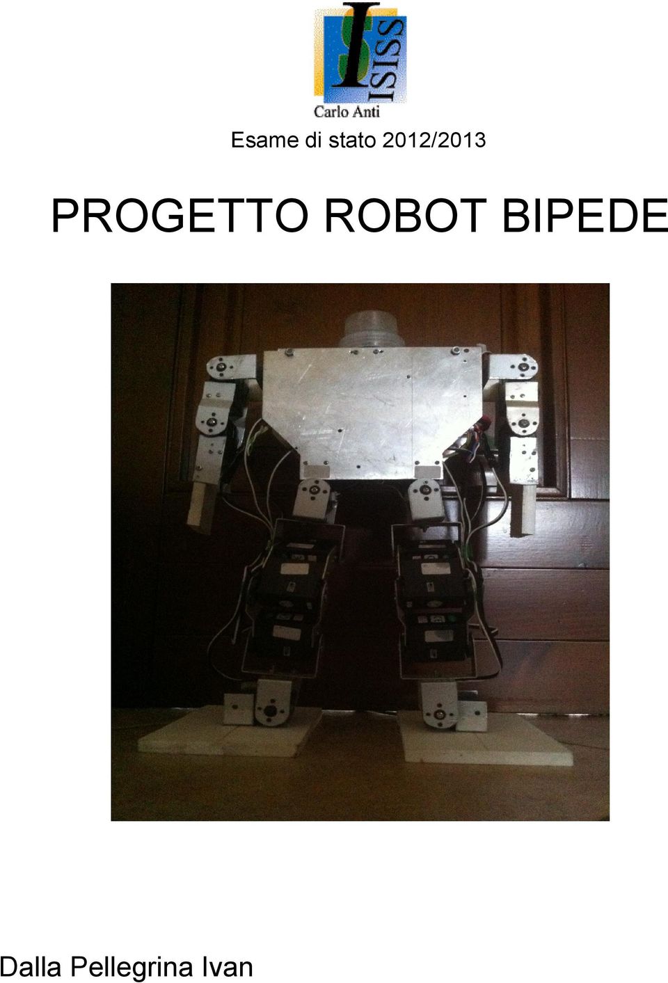 PROGETTO ROBOT