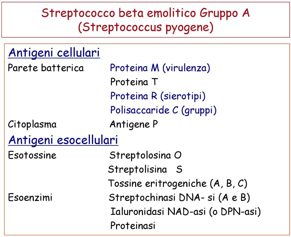 Proteina R (sierotipi) Polisaccaride C (gruppi) Esotossine Streptolosina O Streptolisina S
